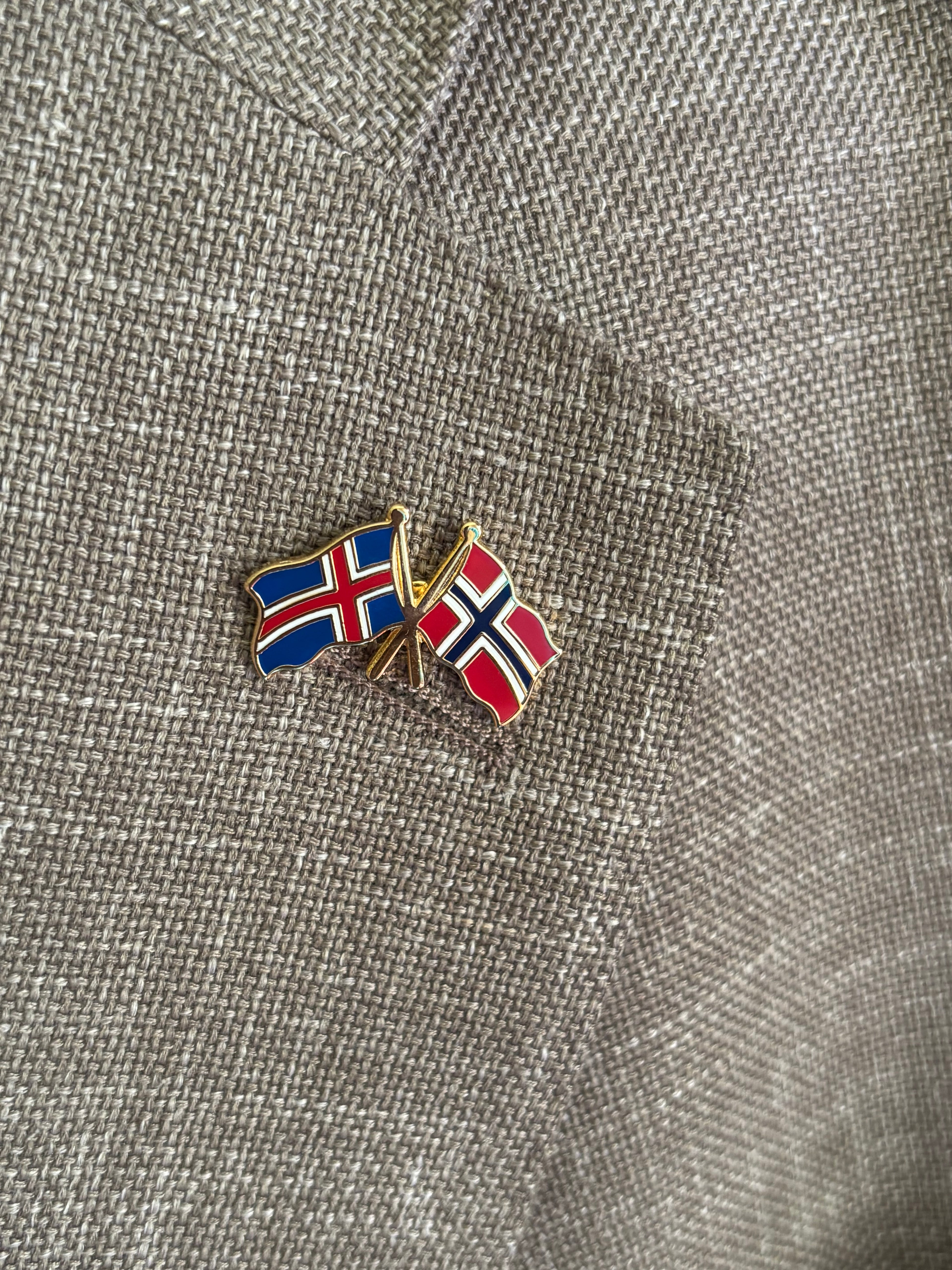 Pin - Norsk og islandsk flagg 🇳🇴 🇮🇸